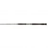 PENN Legion® Cat Gold Inliner Cast Rods 2 PENN Legion® Cat Gold Inliner Cast Rods