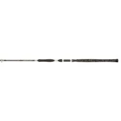 PENN Catfish Fishing Rods Legion® Cat Silver Power Allround