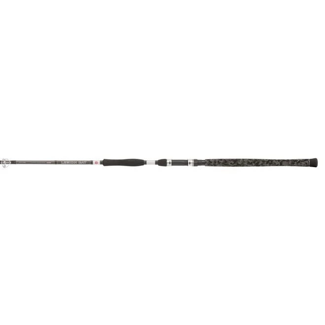 PENN Catfish Fishing Rods Legion® Cat Silver Power Allround 3 PENN Catfish Fishing Rods Legion® Cat Silver Power Allround