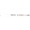 PENN Legion® Cat Silver RVR Monster Catfish Fishing Rods