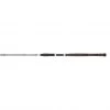 PENN Rods Legion® Cat Silver Spin