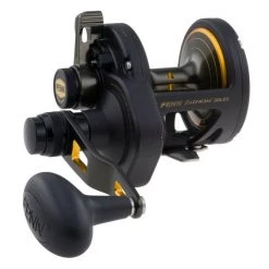 PENN Reels Fathom® Lever Drag 2 Speed