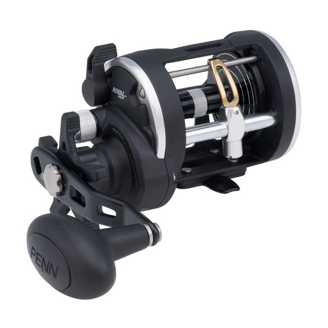 PENN Rival™ Level Wind Reels 3 PENN Rival™ Level Wind Reels