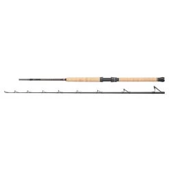 PENN Regiment III Pro Boat Rod Rods