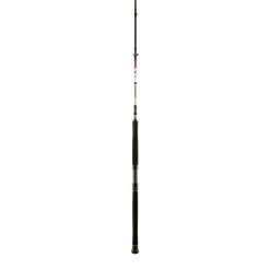 PENN Squadron II Vertical CF Rods